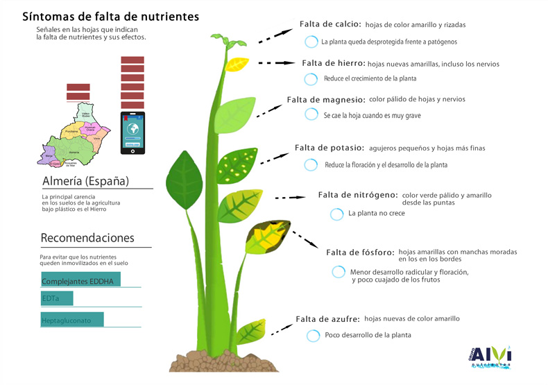 Síntomas-de-falta-de-nutrientes
